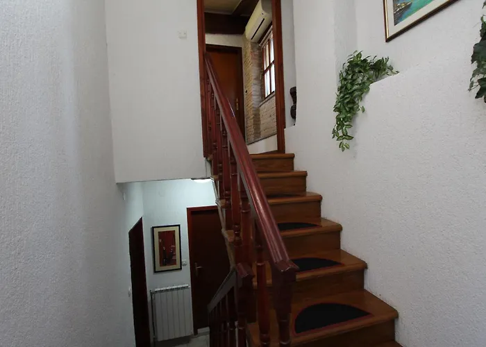 Studio Isabel